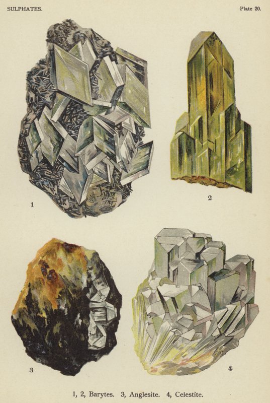 Sulfater, barytter, anglesite, celestite (farve litho) af English School