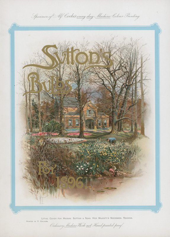Suttons pærer fra 1896 af English School