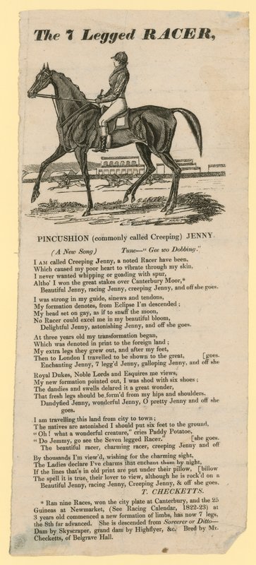 Den 7-benede racer (print) af English School