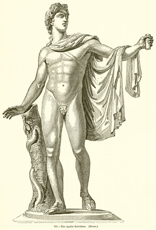 Apollo Belvidere. (Rom) af English School