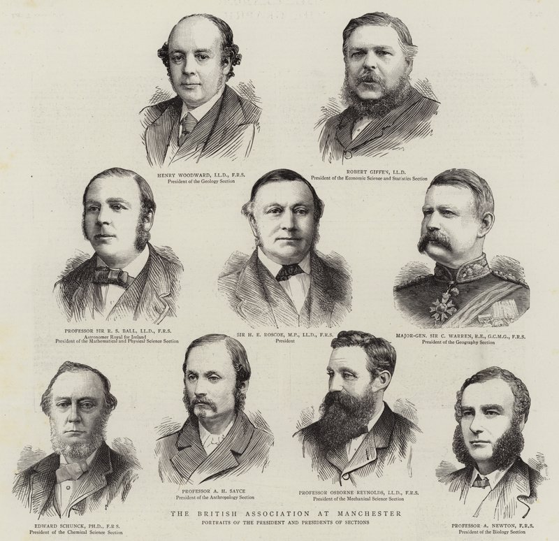 The British Association i Manchester (gravering) af English School