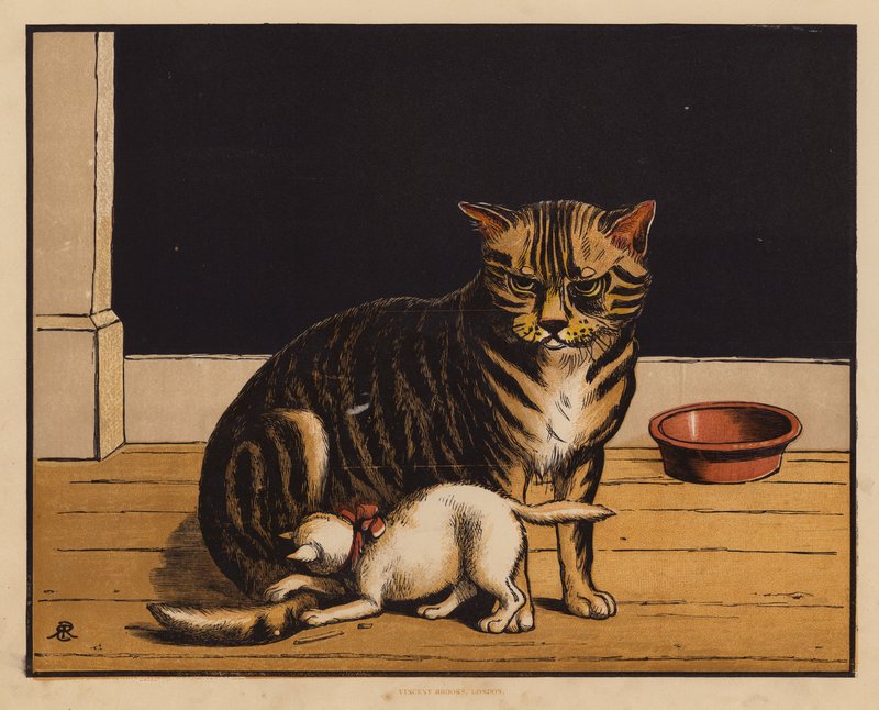 Katten (farvelitografi) af English School