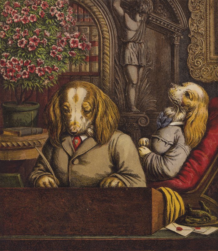 The Dog