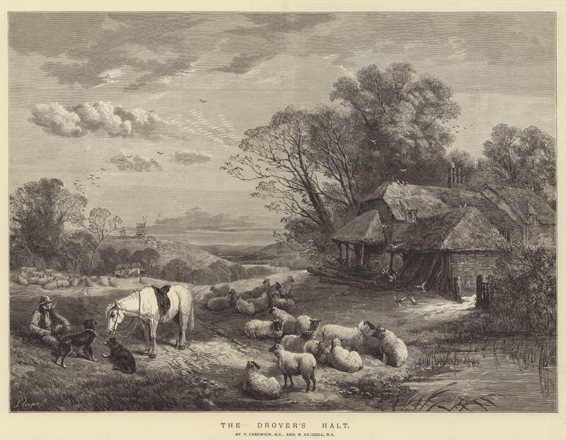 Drover