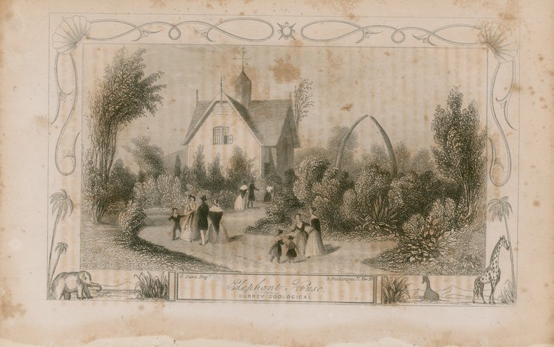 Elefanthuset af English School