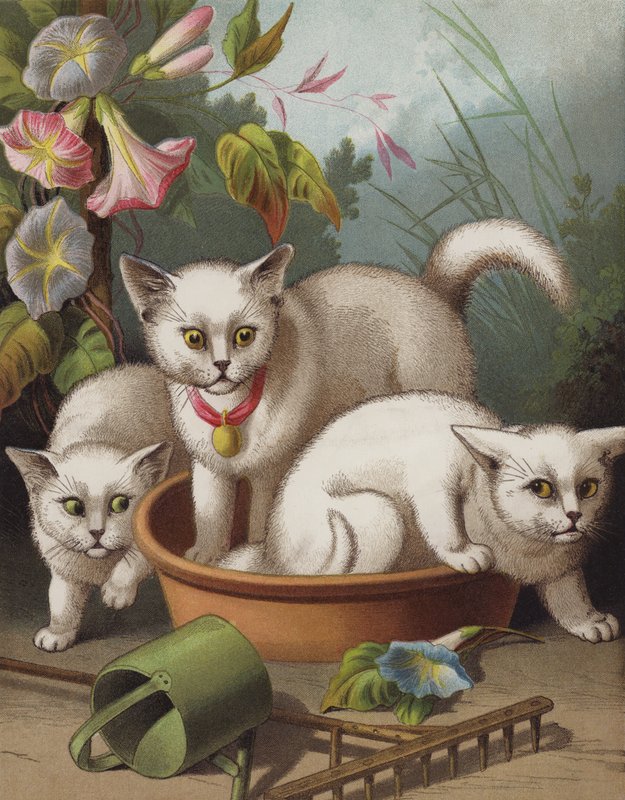 The Frightened Kittens (chromolitho) af English School