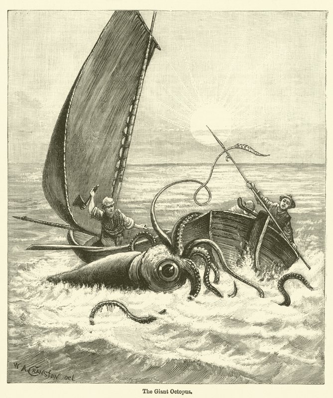 The Giant Octopus (gravering) af English School