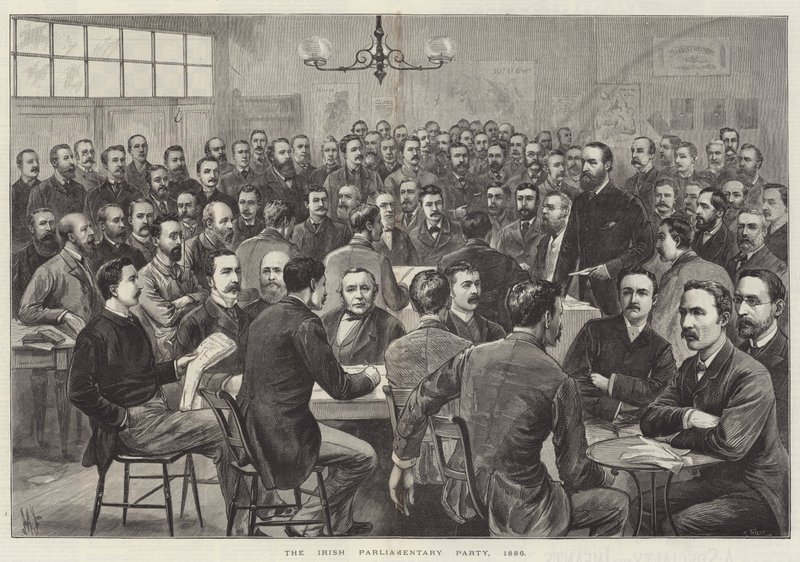 Det irske parlamentariske parti af English School