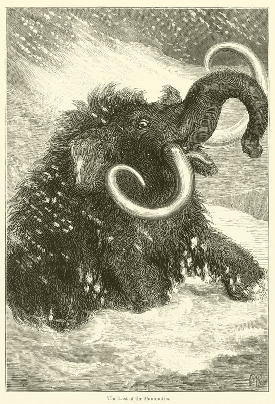 The Last of the Mammoths (gravering) af English School