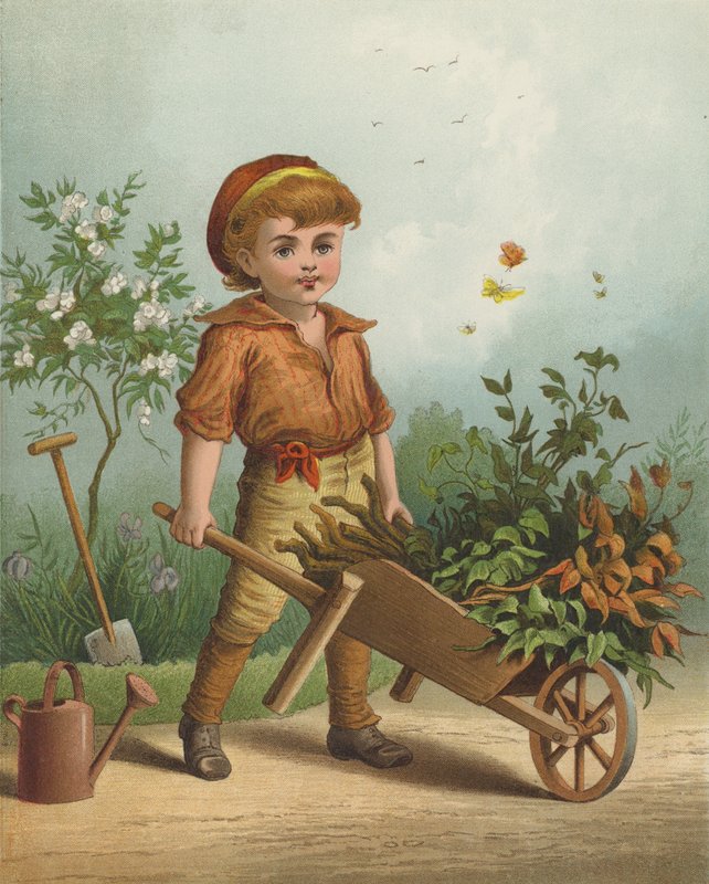 Den lille gartner (chromolitho) af English School