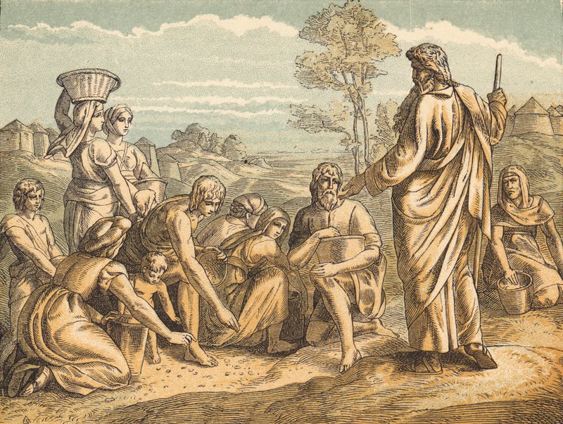 The Manna (farvet gravering) af English School