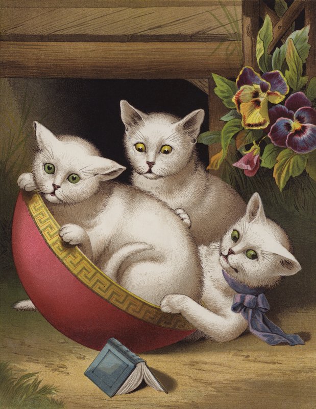Den glade killing (chromolitho) af English School