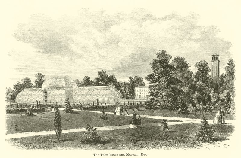 Palmehuset og museet, Kew af English School