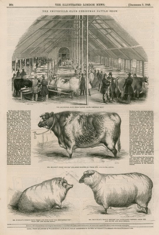 Smithfield Club Christmas Cattle Show af English School
