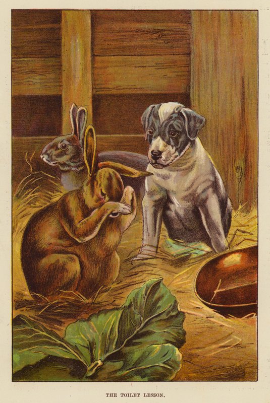 Toiletundervisningen (farve litho) af English School