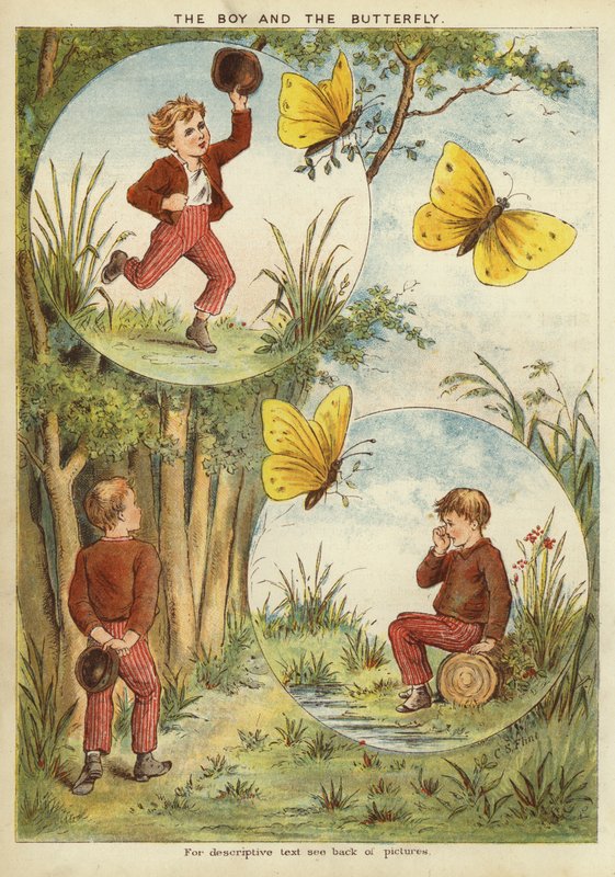 Drengen og sommerfuglen (chromolitho) af English School