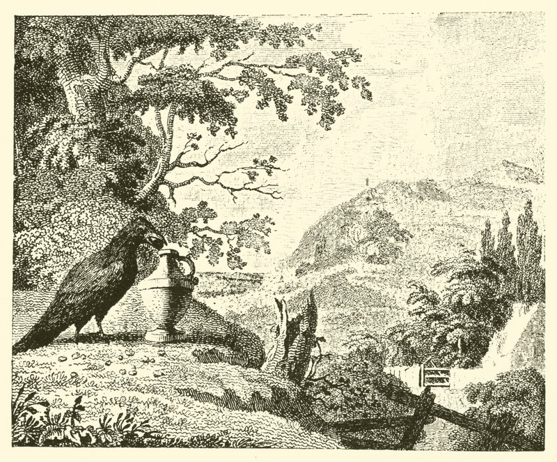 Kragen og kanden (gravering) af English School