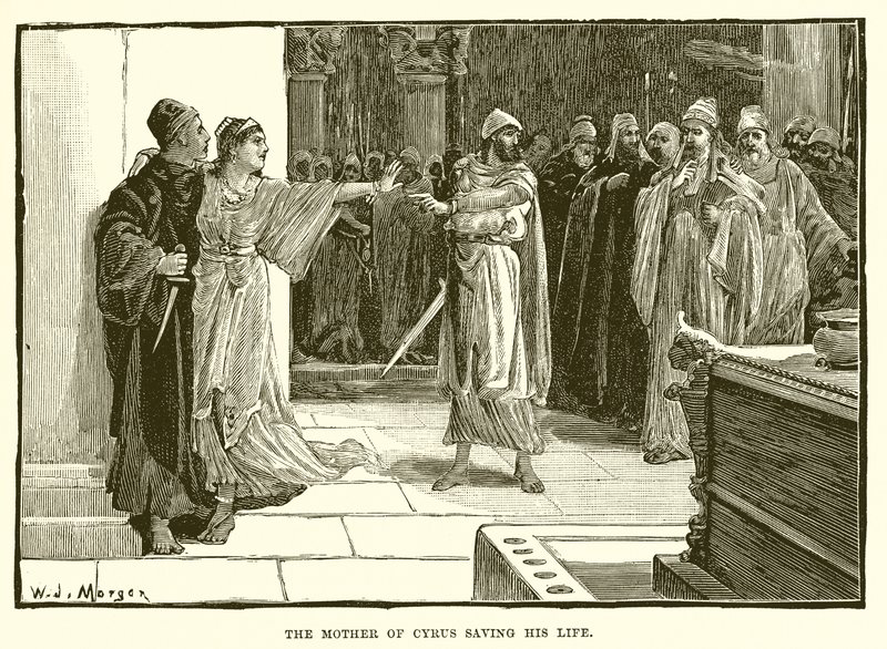 Cyrus