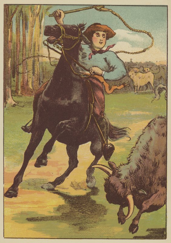 Skålen (farvet gravering) af English School