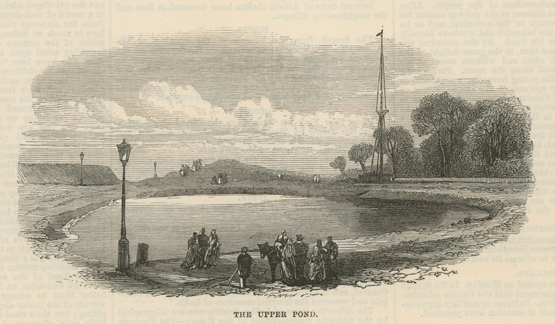 Den øverste dam, Hampstead Heath af English School