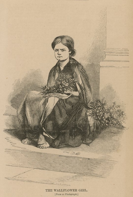Vægblomstpigen af English School