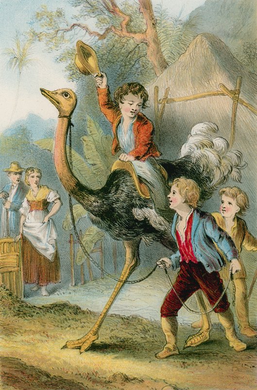 Træning af strudsen af English School
