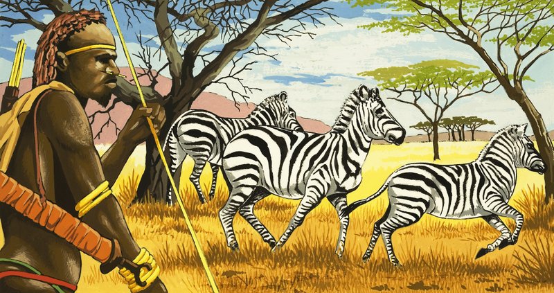 Stammemand og zebraer af English School