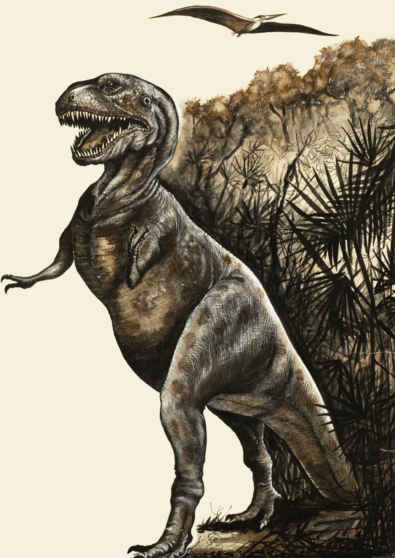 Tyrannosaurus Rex af English School