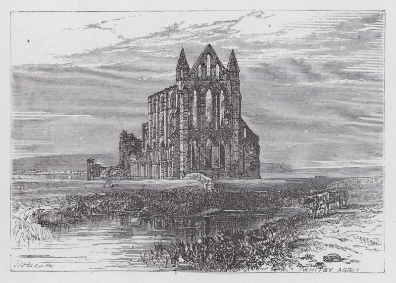 Whitby Abbey (gravering) af English School