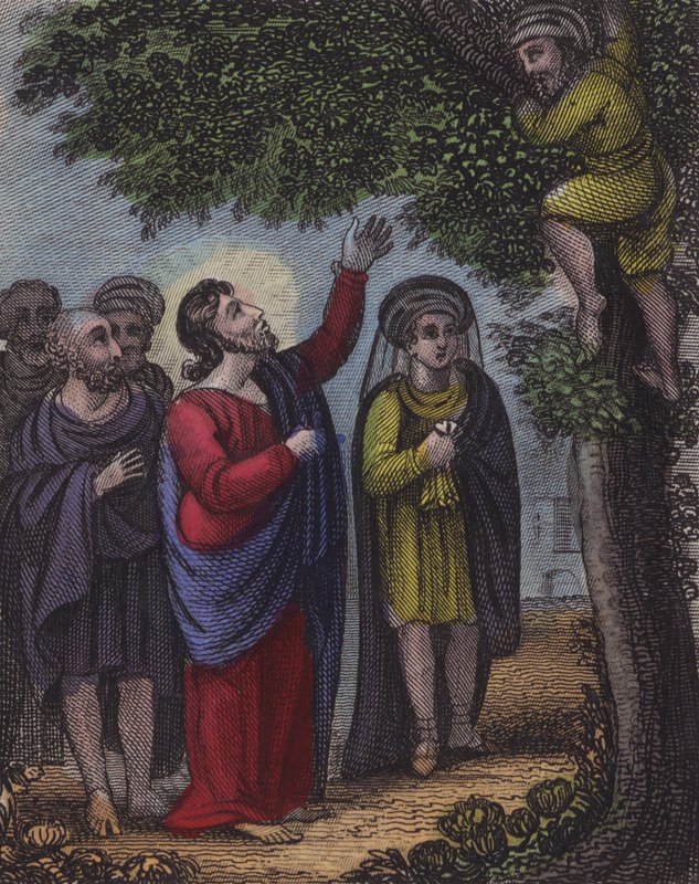 Zaccheus klatrede i træet ... (farvet indgravering) af English School
