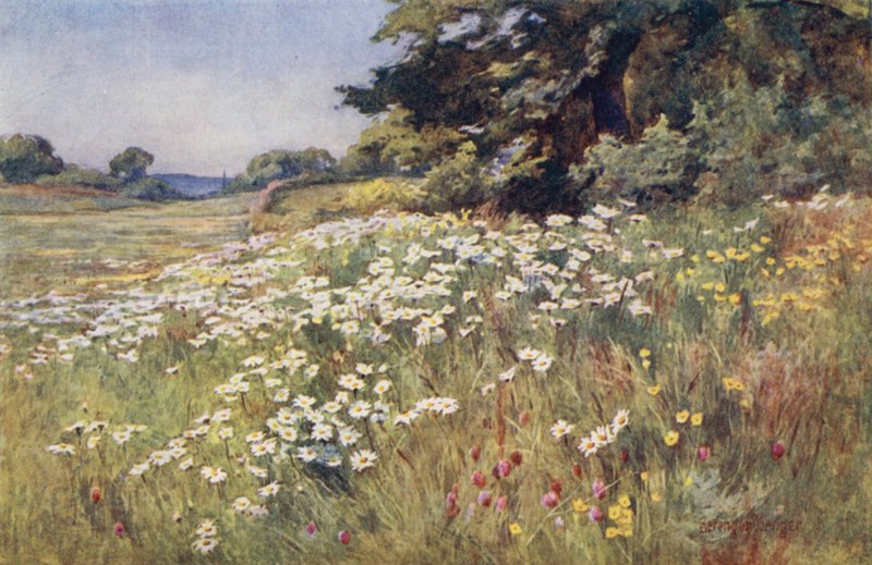 Solskin i Meadowland af Ernest Benger or Berenger