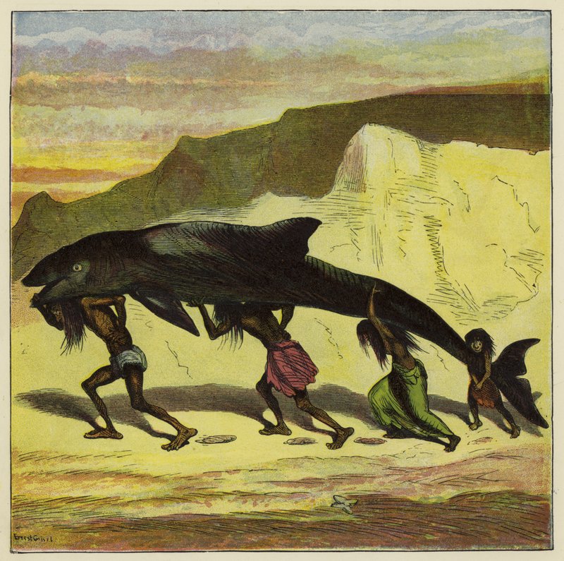 Fantastisk sjov fisk af Ernest Henry Griset
