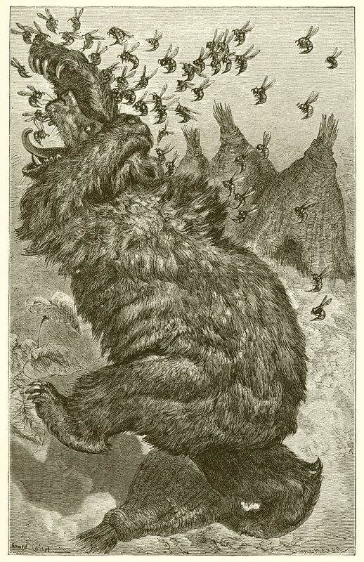 Bjørnen og bistaderne af Ernest Henry Griset