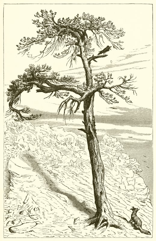 Ræven og besætningen af Ernest Henry Griset