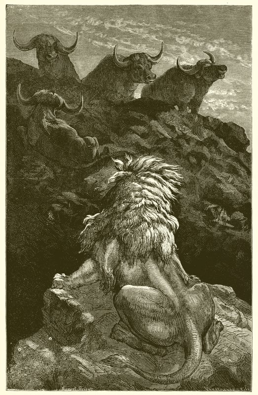 Løven og de fire tyre af Ernest Henry Griset
