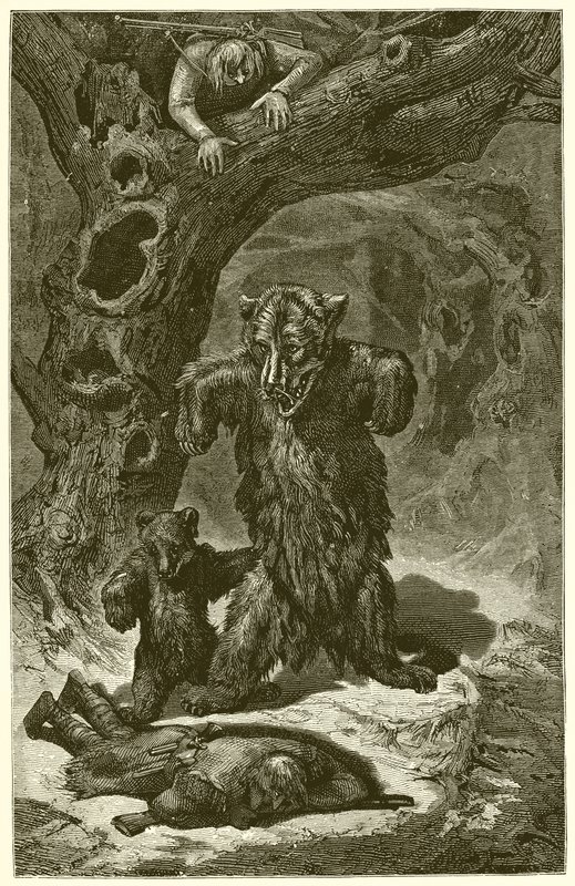 De rejsende og bjørnen af Ernest Henry Griset