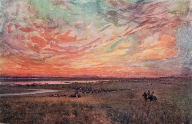The Campo (farve litho) af Ernest William Christmas