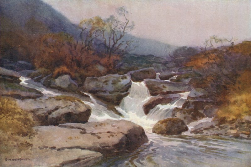 A Dartmoor Stream (farve litho) af Ernest William Haslehust