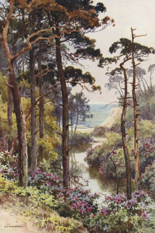 Branksome Chine, Bournemouth (Color Litho) af Ernest William Haslehust