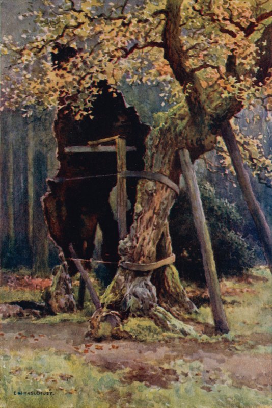 Robin Hoods spisekammer (farve litho) af Ernest William Haslehust