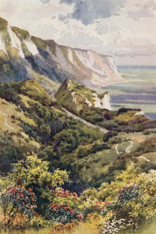 The Warren, Folkestone (farve litho) af Ernest William Haslehust