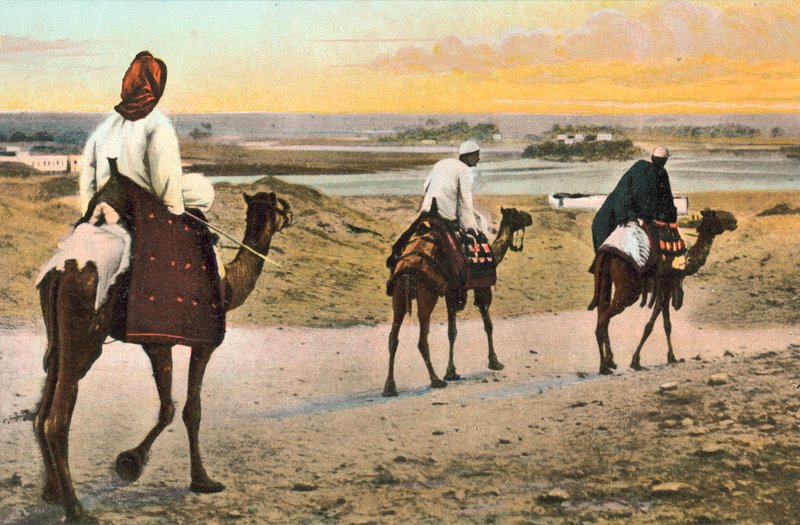 Kameler, Nordafrika af European Photographer