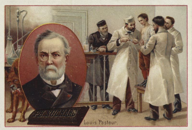 Louis Pasteur, fransk kemiker og mikrobiolog af European School