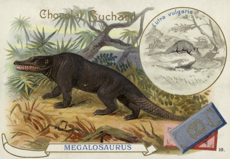 Megalosaurus og odder af European School