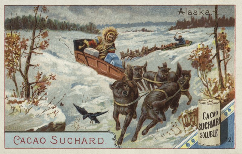 Rejser med hundeslæde, Alaska af European School