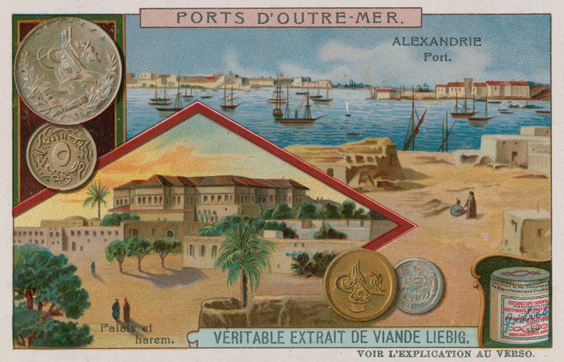Alexandria af European School