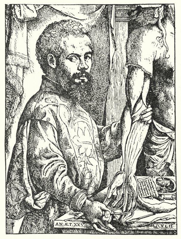Andreas Vesalius (kobberstik) af European School