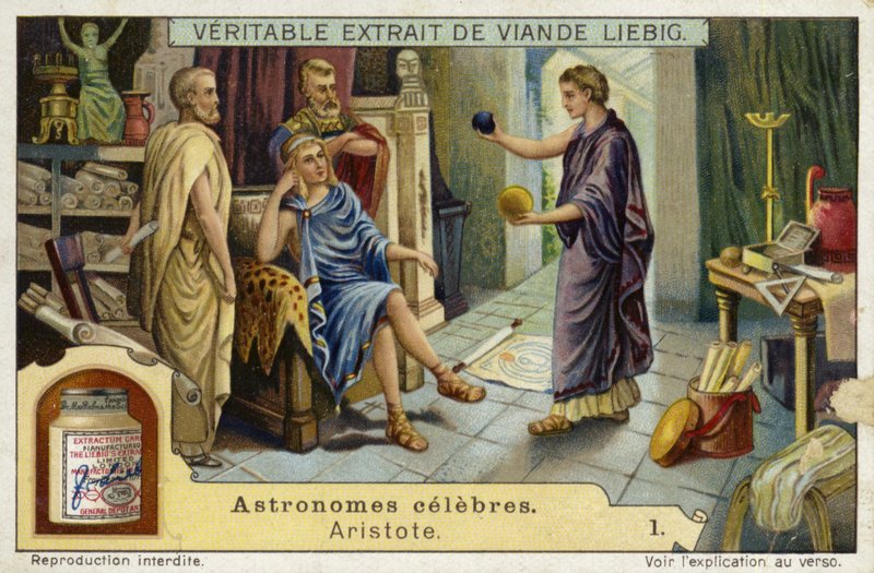 Aristotle, Ancient Greek philosopher and scientist  af European School
