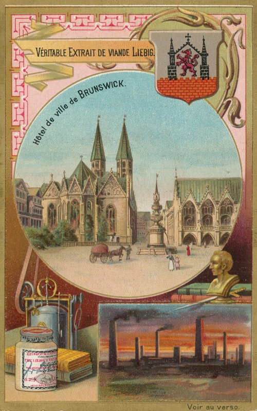 Brunswick af European School