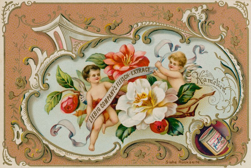 Camelia af European School